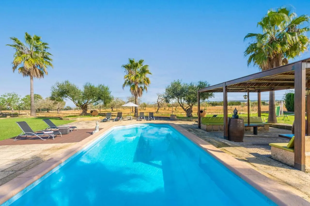 Son Mieres -De Sa Font- Villa Petra   Petra (Mallorca)